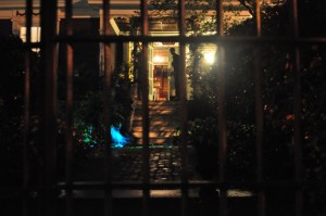 DSC_0477