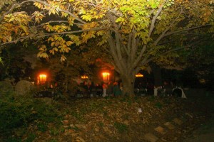 For Food sake Oct 29 - 5d (87)